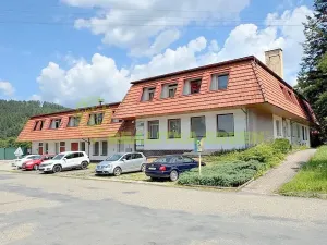 Pronájem komerčního pozemku, Halenkov, 25246 m2