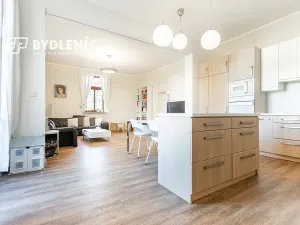 Prodej bytu 2+1, Teplice, Masarykova třída, 96 m2