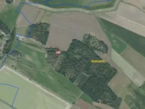 Prodej lesa, Němčice, 550 m2