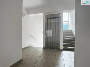 Pronájem bytu 1+1, Přerov, Bayerova, 30 m2