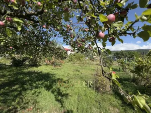 Prodej chaty, Dubí, B. Němcové, 16 m2