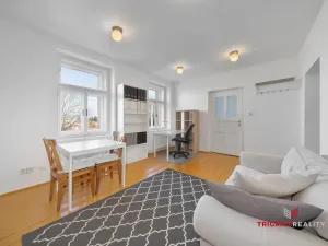 Pronájem bytu 2+kk, Hradec Králové, Dlouhá, 38 m2