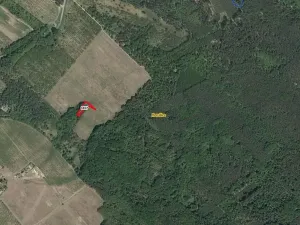 Prodej lesa, Horušice, 1029 m2