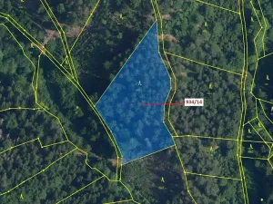 Dražba lesa, Jílové u Držkova, 5751 m2