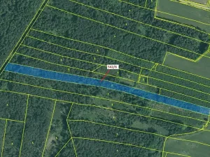 Dražba lesa, Jílovice, 13375 m2