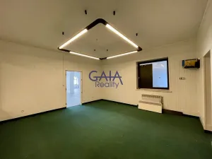 Pronájem obchodního prostoru, Veselí nad Moravou, Zámecká, 184 m2