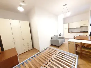 Pronájem bytu 1+kk, Praha - Smíchov, Plzeňská, 27 m2