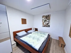 Pronájem rodinného domu, Střelice, Tetčická, 70 m2