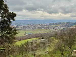 Pronájem bytu 2+kk, Jarcová, 69 m2