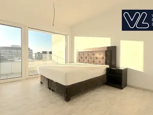 Prodej bytu 5+kk, Brno, Křenová, 267 m2