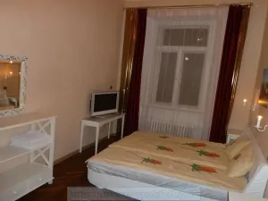 Pronájem pokoje, Praha - Nové Město, Palackého, 42 m2