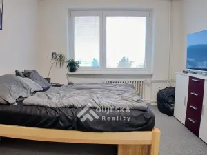 Pronájem bytu 1+1, Boskovice, Hybešova, 40 m2