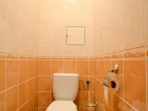 Pronájem bytu 2+kk, Šestajovice, Komenského, 46 m2