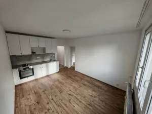 Prodej bytu 2+kk, Praha - Kamýk, Seidlova, 40 m2