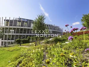 Pronájem bytu 4+kk, Praha - Smíchov, Holečkova, 211 m2