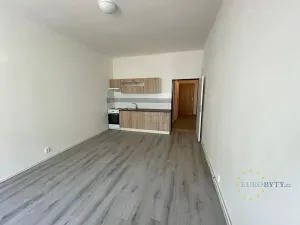 Pronájem bytu 1+kk, Praha - Nusle, Žateckých, 29 m2