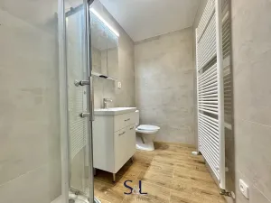 Pronájem bytu 2+kk, Nový Bor, Dělnická, 48 m2