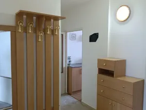 Prodej bytu 2+1, Přerov, Dvořákova, 56 m2