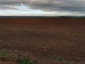 Prodej pole, Červené Pečky, 5013 m2