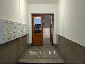 Prodej bytu 2+1, Praha - Žižkov, Jičínská, 66 m2