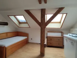 Pronájem bytu 1+kk, Praha - Krč, Moysesova, 40 m2