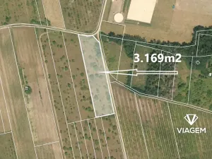 Prodej podílu zahrady, Dobříň, 3169 m2