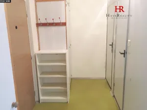 Pronájem bytu 1+1, Benešov, Nová Pražská, 46 m2