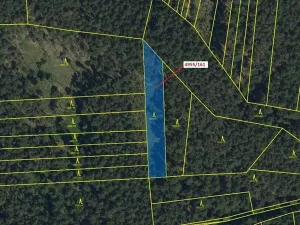 Dražba lesa, Vracov, 1702 m2