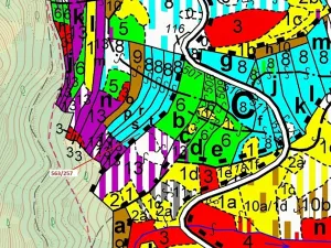 Dražba lesa, Spešov, 2643 m2