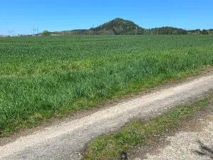 Prodej pozemku pro bydlení, Hamr na Jezeře, 1015 m2