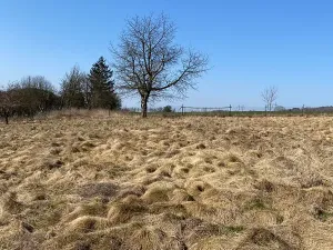 Prodej pozemku pro bydlení, Hamr na Jezeře, 875 m2