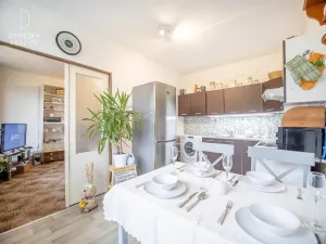 Pronájem bytu 3+1, Mladá Boleslav, Havlíčkova, 78 m2