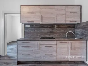 Pronájem bytu 1+1, Praha - Braník, Nad malým mýtem, 39 m2