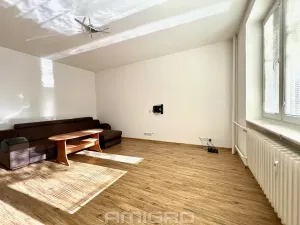 Pronájem bytu 1+kk, Brno, Podlesí, 39 m2