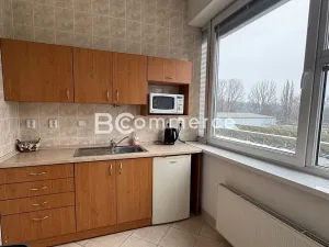 Pronájem kanceláře, Brno, 36 m2