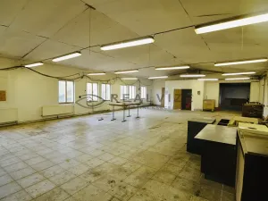 Prodej komerčního pozemku, Heřmaň, 1963 m2