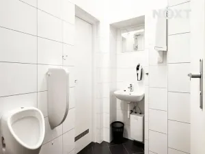 Pronájem kanceláře, Brno, Bezručova, 250 m2