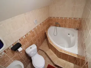 Prodej ubytování, Potůčky, 750 m2