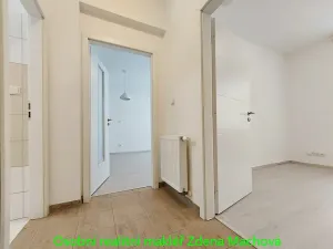 Prodej bytu 2+kk, Praha - Žižkov, Domažlická, 52 m2