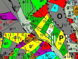 Dražba lesa, Jílové u Držkova, 3439 m2