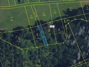 Dražba lesa, Spešov, 114 m2