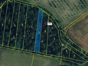Dražba lesa, Hradčany-Kobeřice, 1221 m2