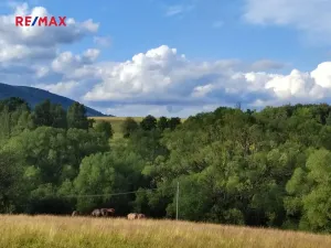 Prodej pozemku pro bydlení, Malá Morava, 1169 m2