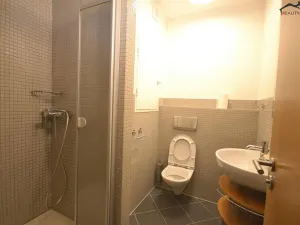 Pronájem bytu 3+kk, Brno, Majdalenky, 161 m2