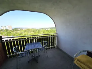 Pronájem bytu 2+kk, Brno, Chopinova, 60 m2