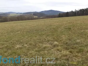 Prodej pole, Srby, 24690 m2