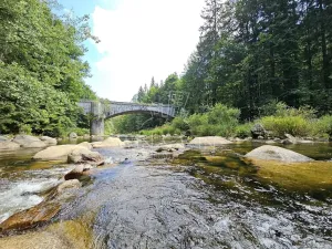 Prodej bytu 1+kk, Kořenov, 25 m2