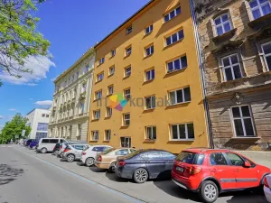 Pronájem bytu 1+kk, Brno, Sokolská, 25 m2