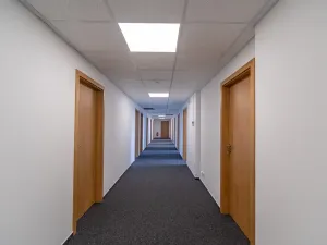 Pronájem kanceláře, Hradec Králové, Nerudova, 300 m2