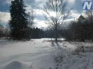 Prodej pozemku pro bydlení, Strážný, 5195 m2